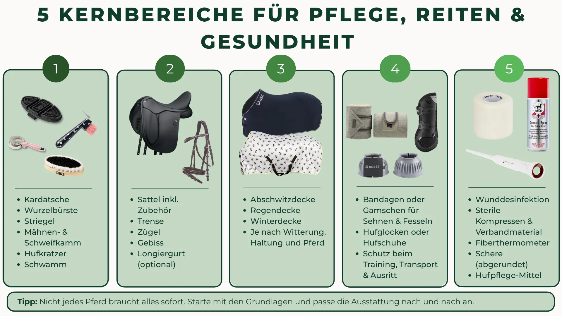 Infografik der 5 Kernbereiche für Pflege, Reiten und Gesundheit (Putzzeug, Sattel, Decken, Schutz, Stallapotheke)