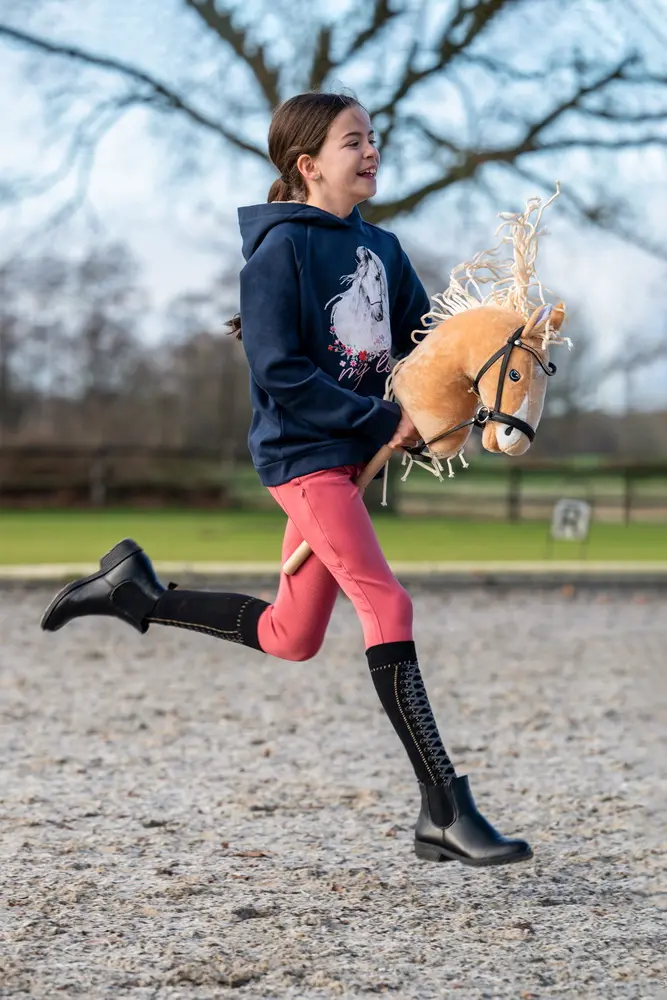 Hobby Horse