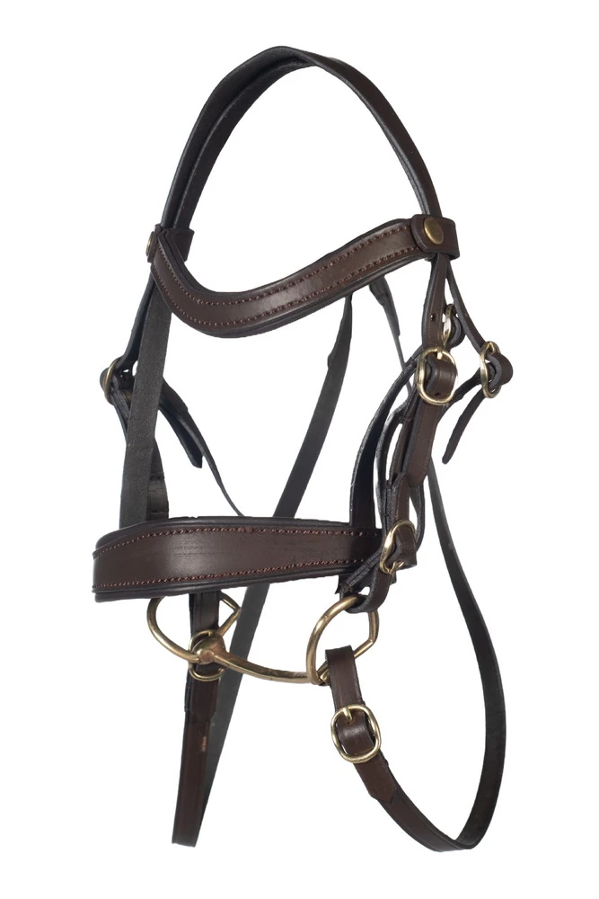 Trense -Hobby Horsing Basic-