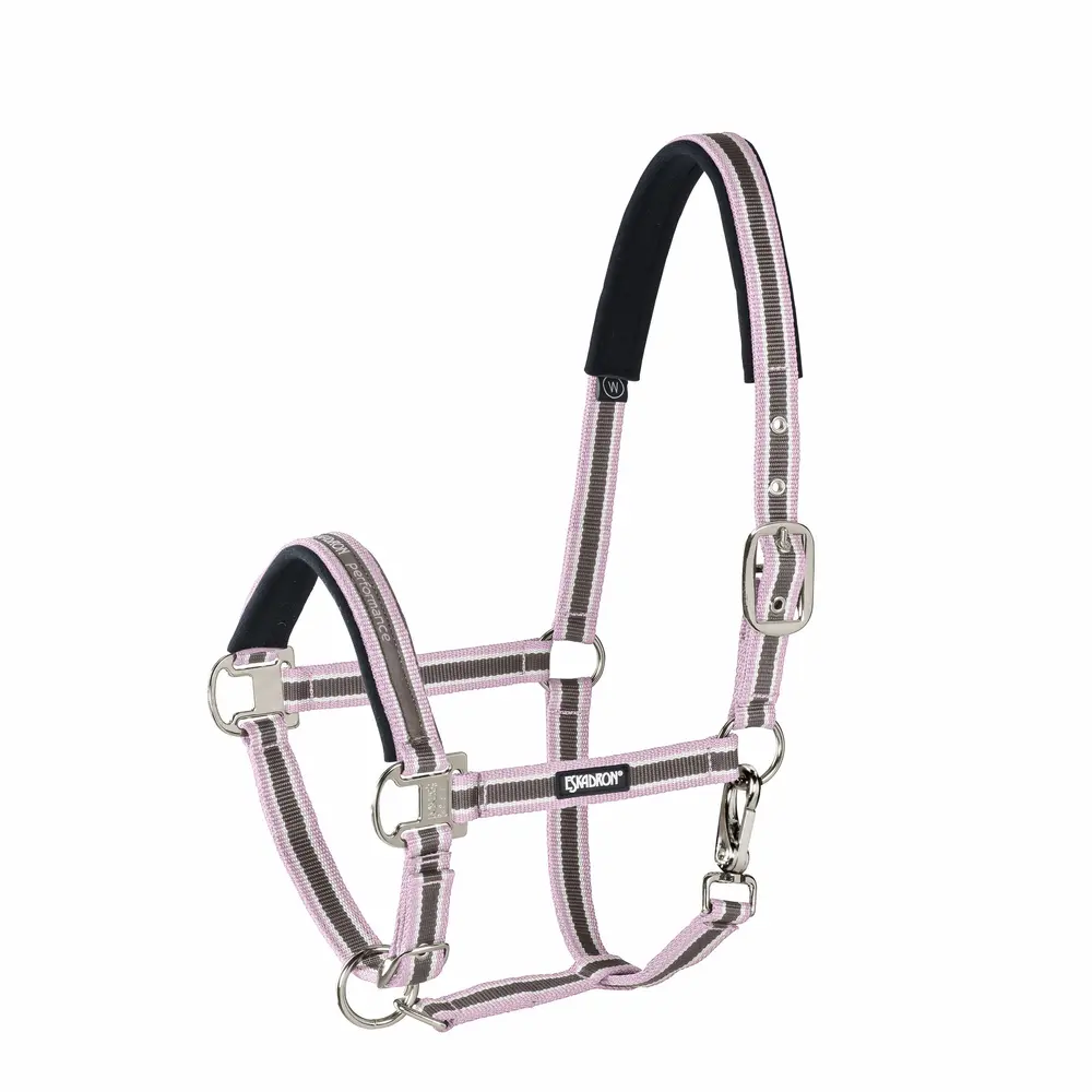 Halfter PIN BUCKLE CORE