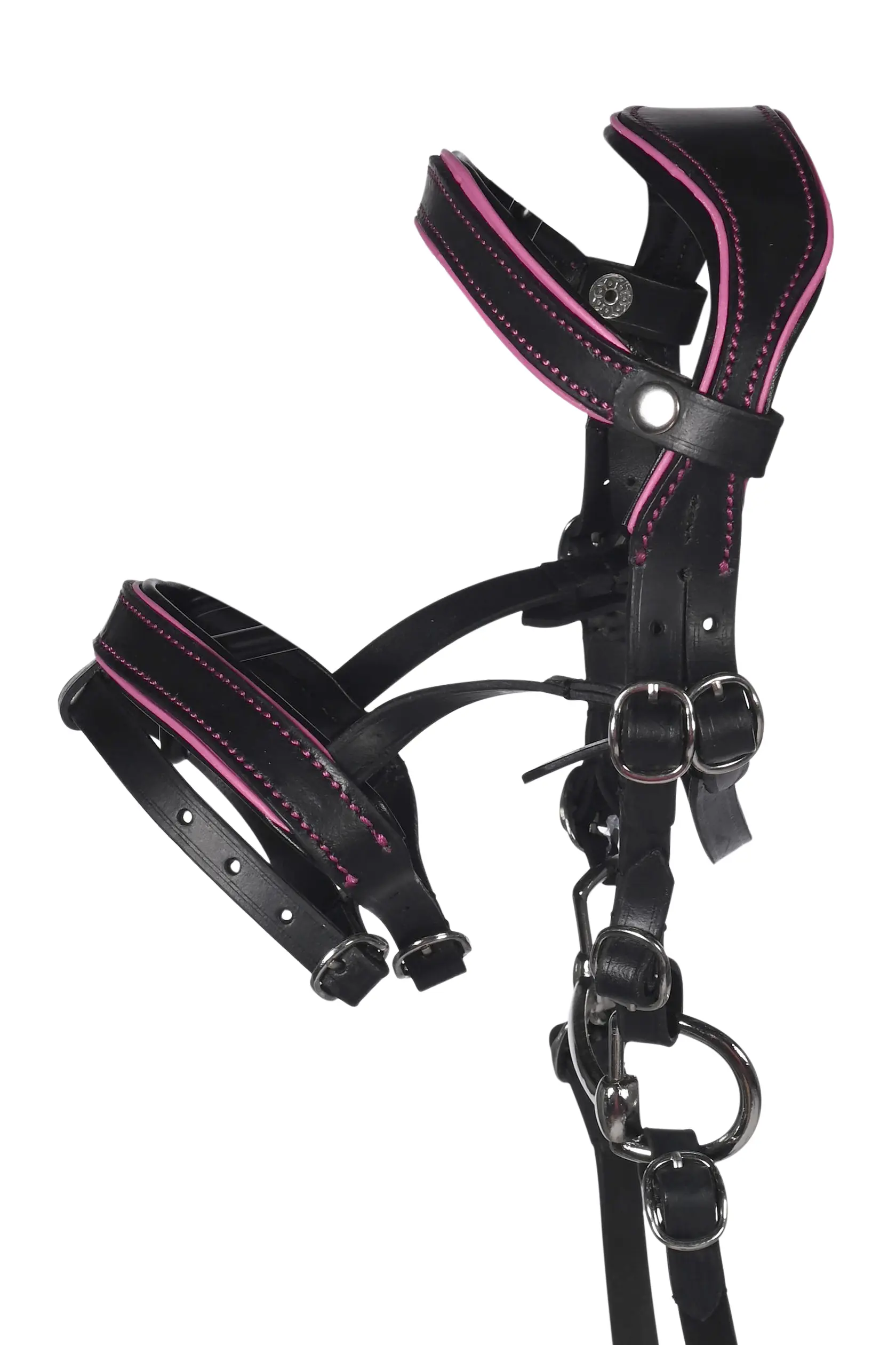 Ledertrense Manchester -Hobby Horsing- summer 2026