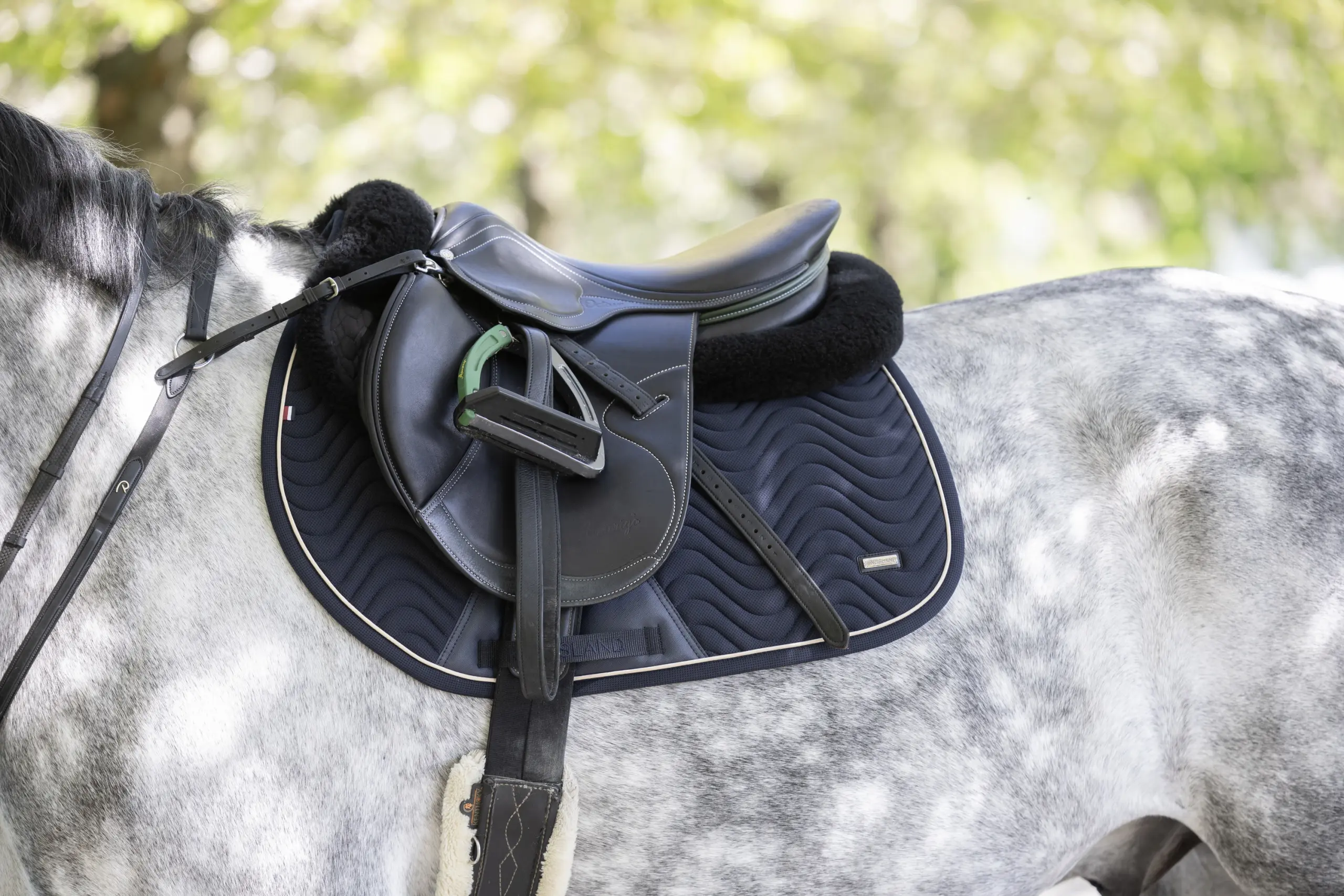 Jumping Saddle Pad KLLucca summer 2026