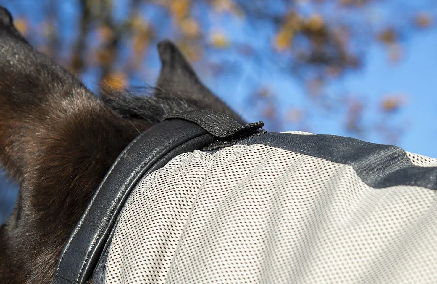 Fly rug -Fringes- Style, with neck part