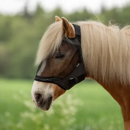 BUSSE Fly mask FLY GUARD FREE