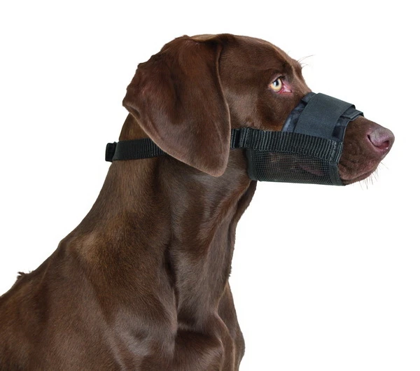 Muzzle Nylon 20 – 26 cm 9,5cm 19 - 39 cm