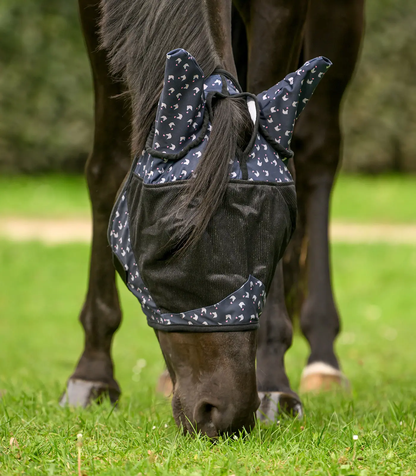 Lucky Fly Mask
