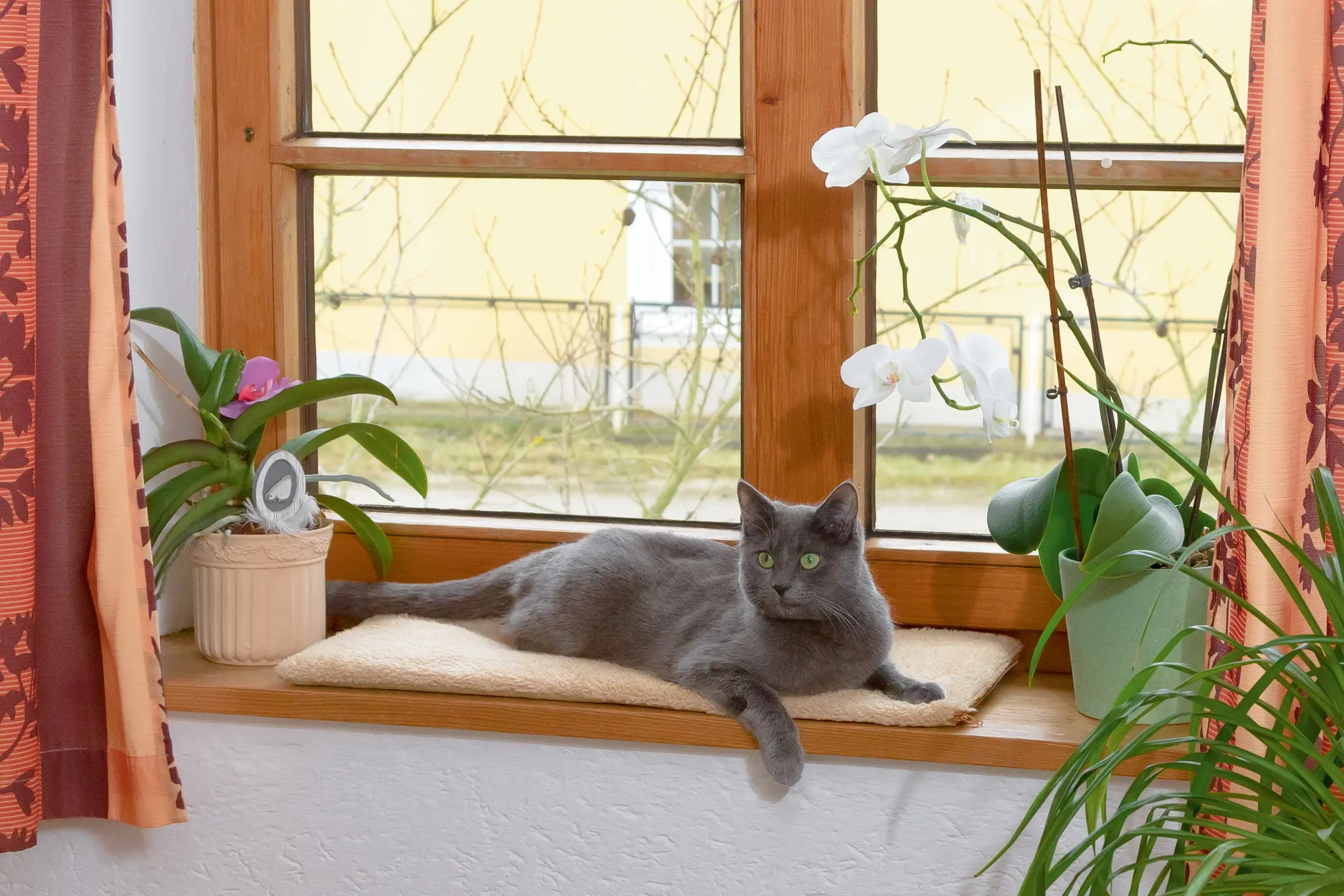 Window Cushion 60x26x2cm Self-Warming