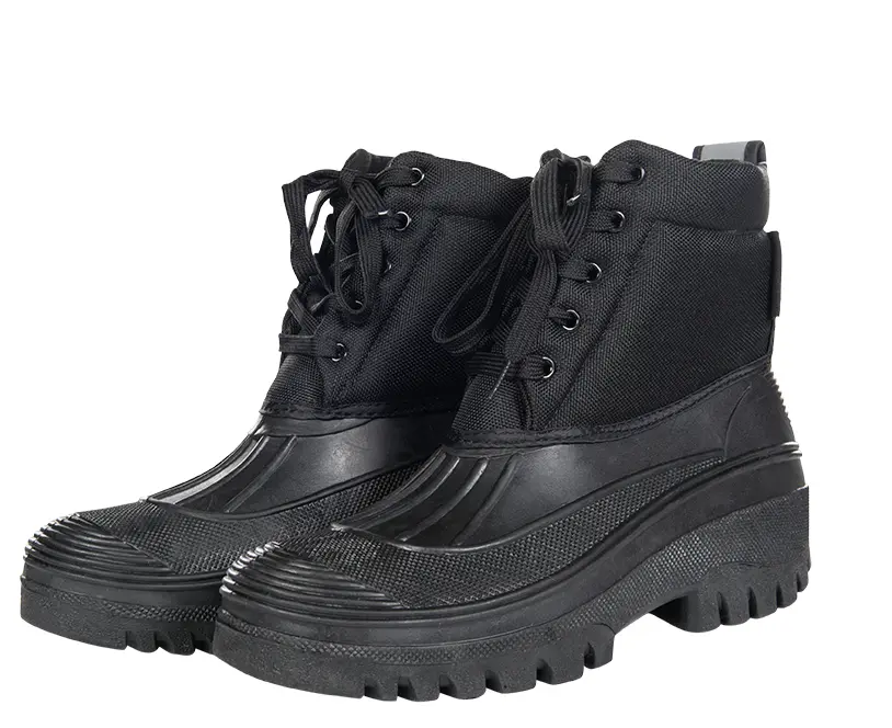 Thermo-Stallschuh -Hamilton-
