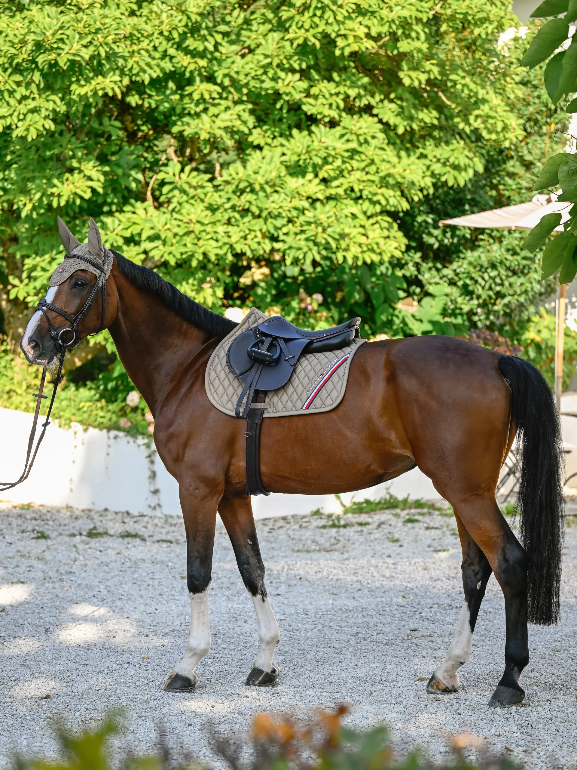 Jumping saddlepad STANFORD
