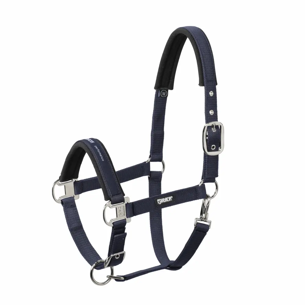 Halfter PIN BUCKLE CORE