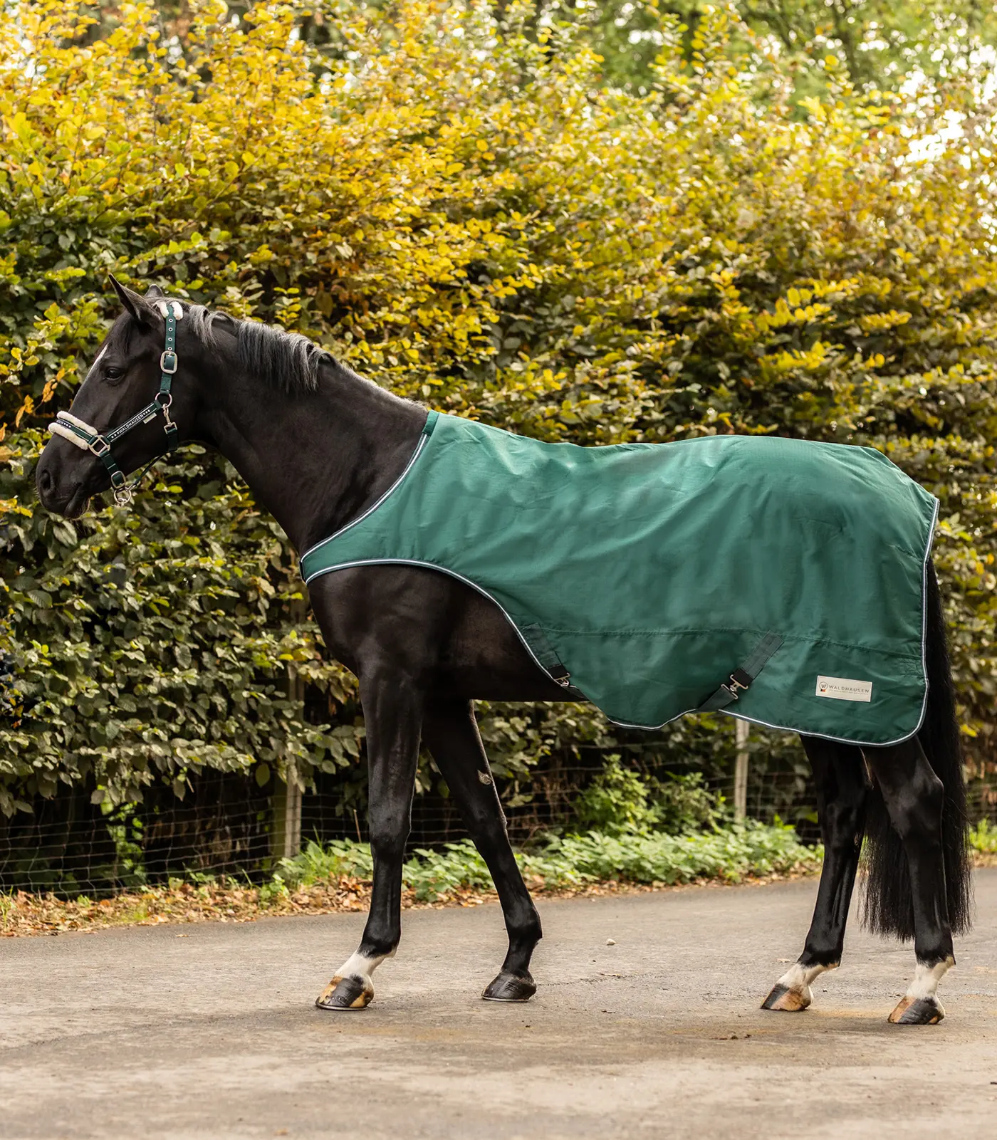 COMFORT Horsewalker Rug, 100 g