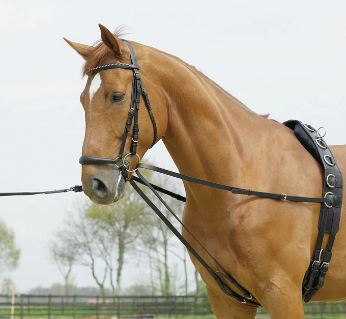 BUSSE Lauffer Reins BASIC