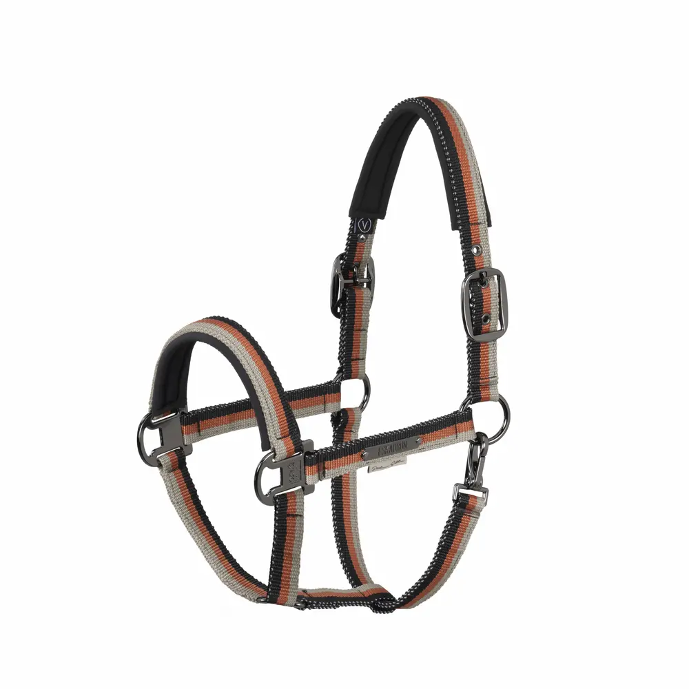 Headcollar GIRTH LIGHT DOUBLE PIN Platinum 2026