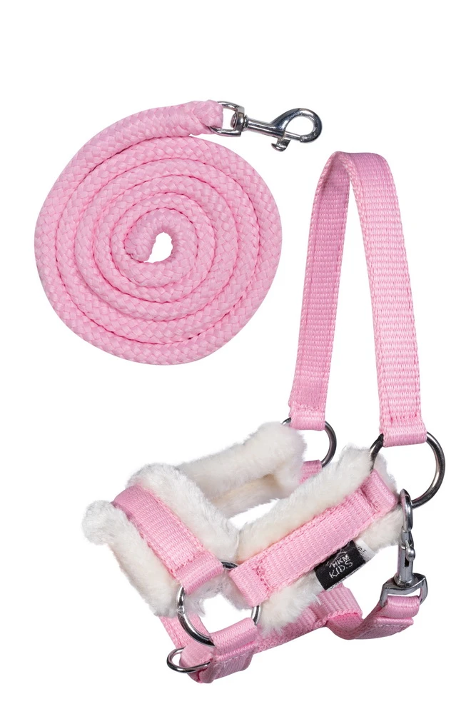 Halfter und Strick -Hobby Horsing-
