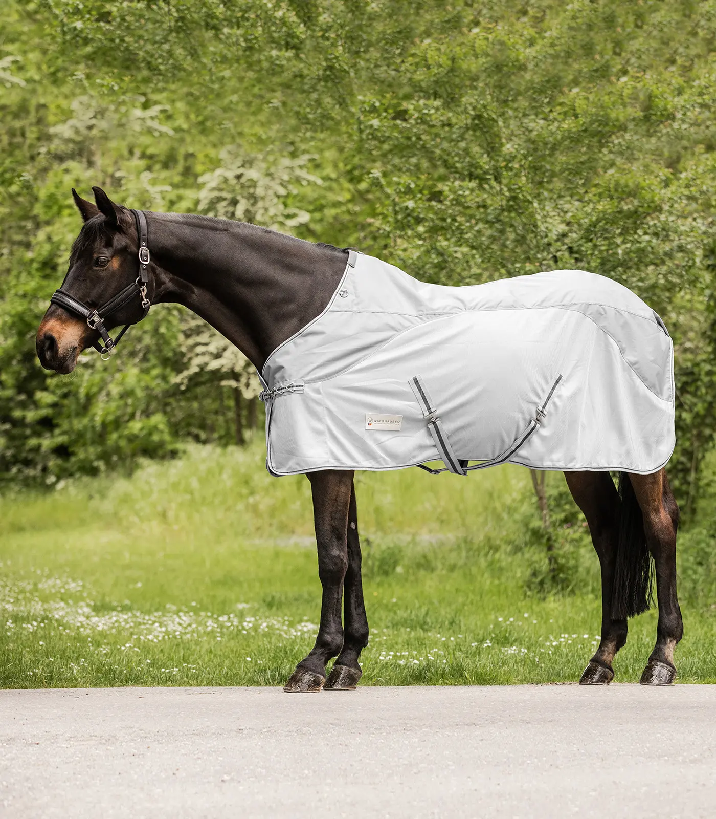 PROTECT Rain-Fly sheet