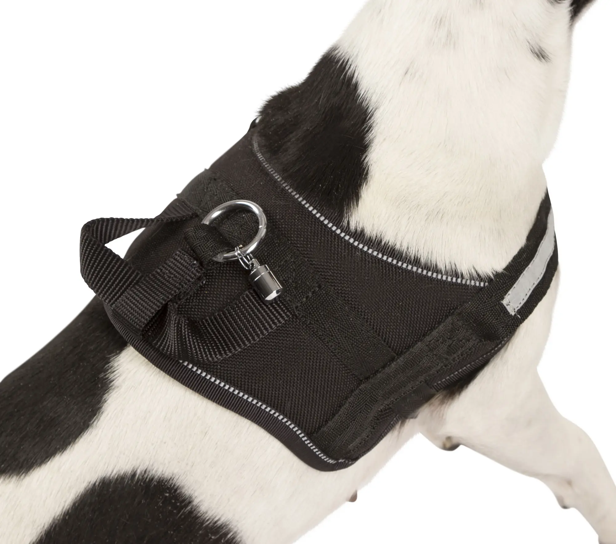 Harness Maestro 1.0, black, 15mmx30-38cm,with ident. Tube