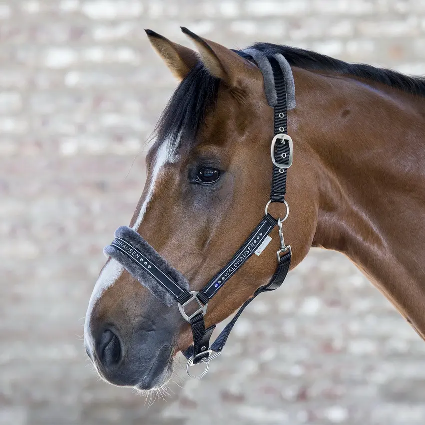 Halfter ELEGANT
