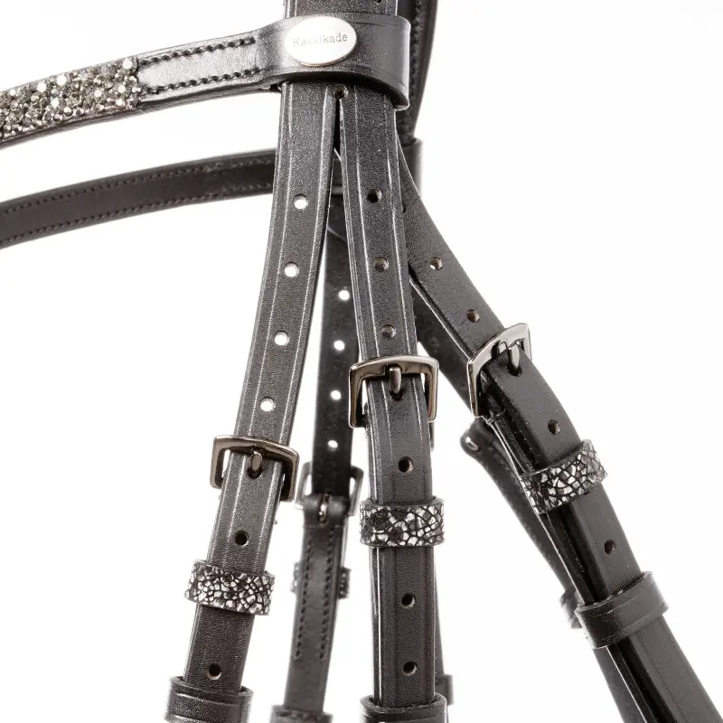 bridle VIKTORIA crank nb. with flash