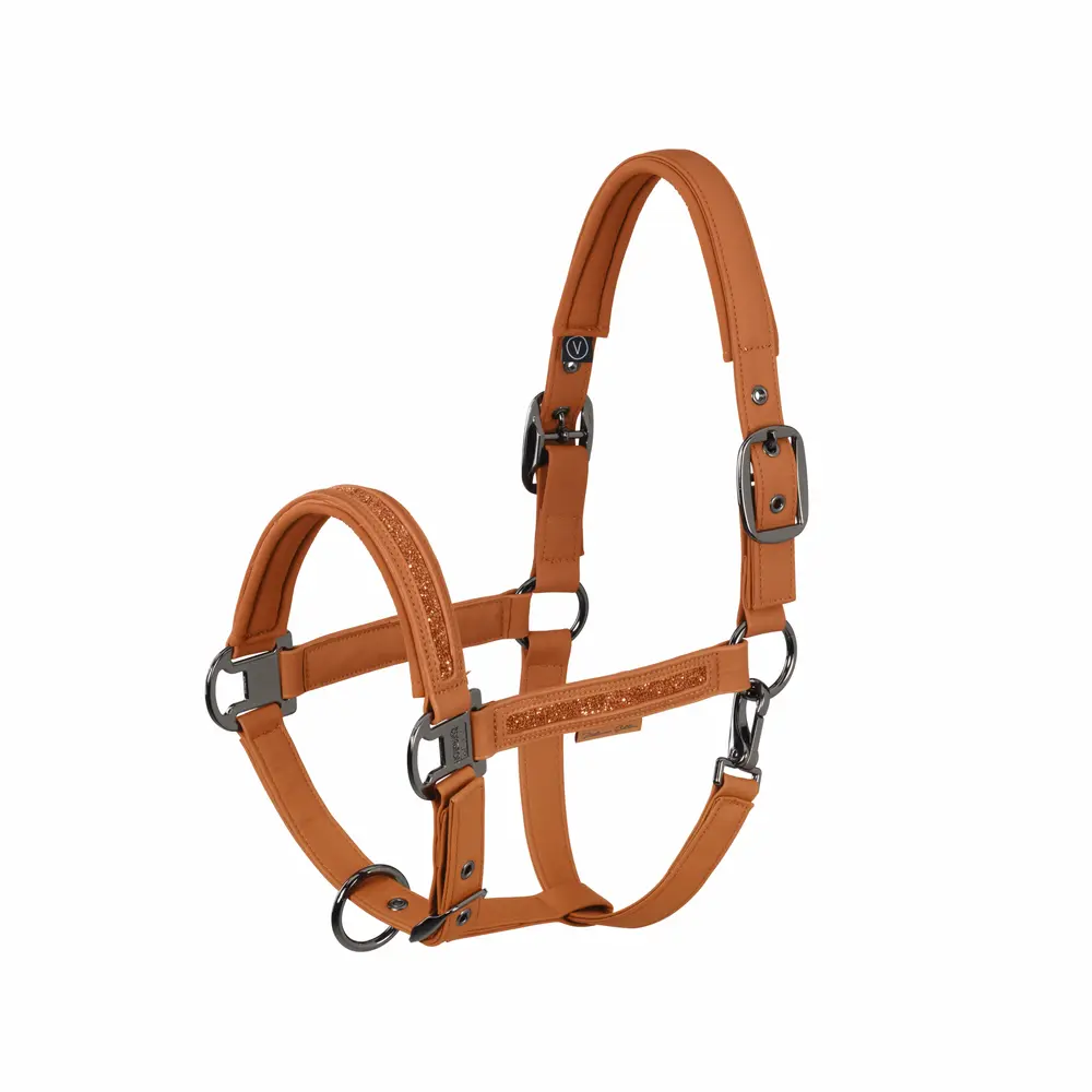 Halfter FAUX LEATHER JEWEL DP Platinum 2026