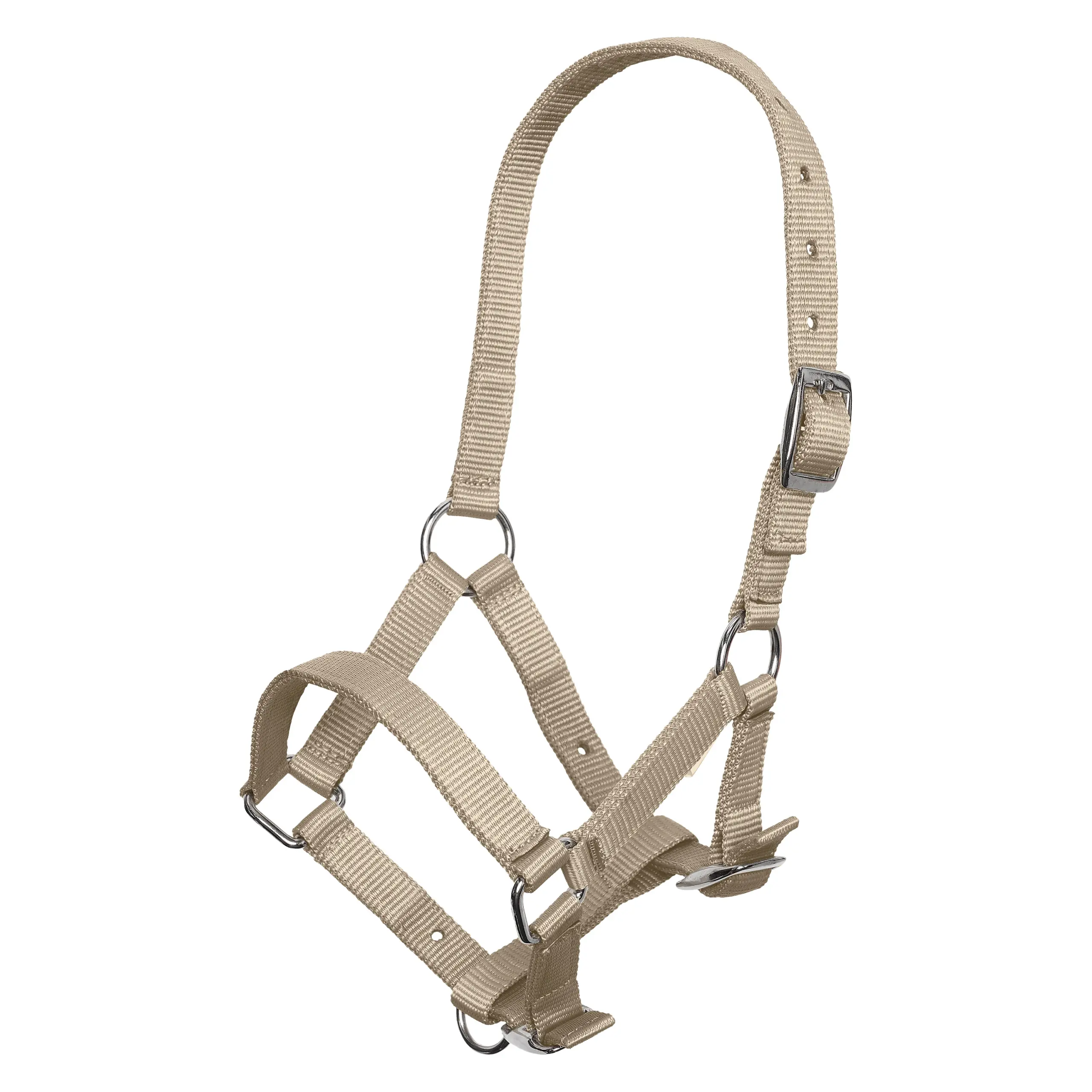 Headcollar foal IRH Summer 2026