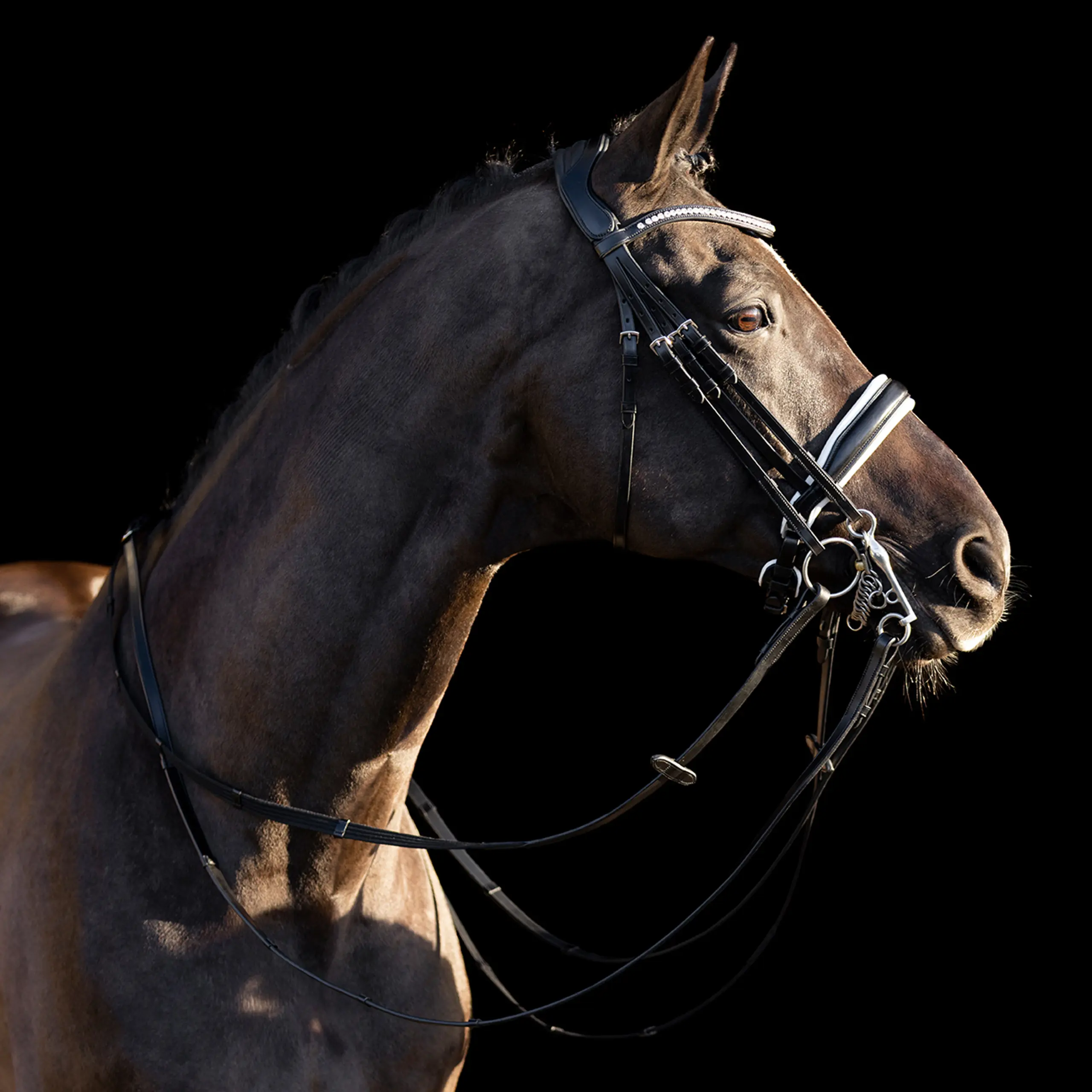 Kandarenzaum HVP-Legacy deluxe