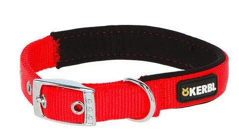 Collar Miami Plus
