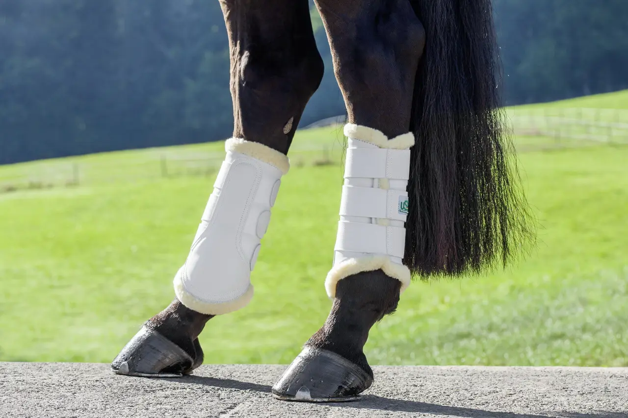 Dressage boots with fake-fur lining