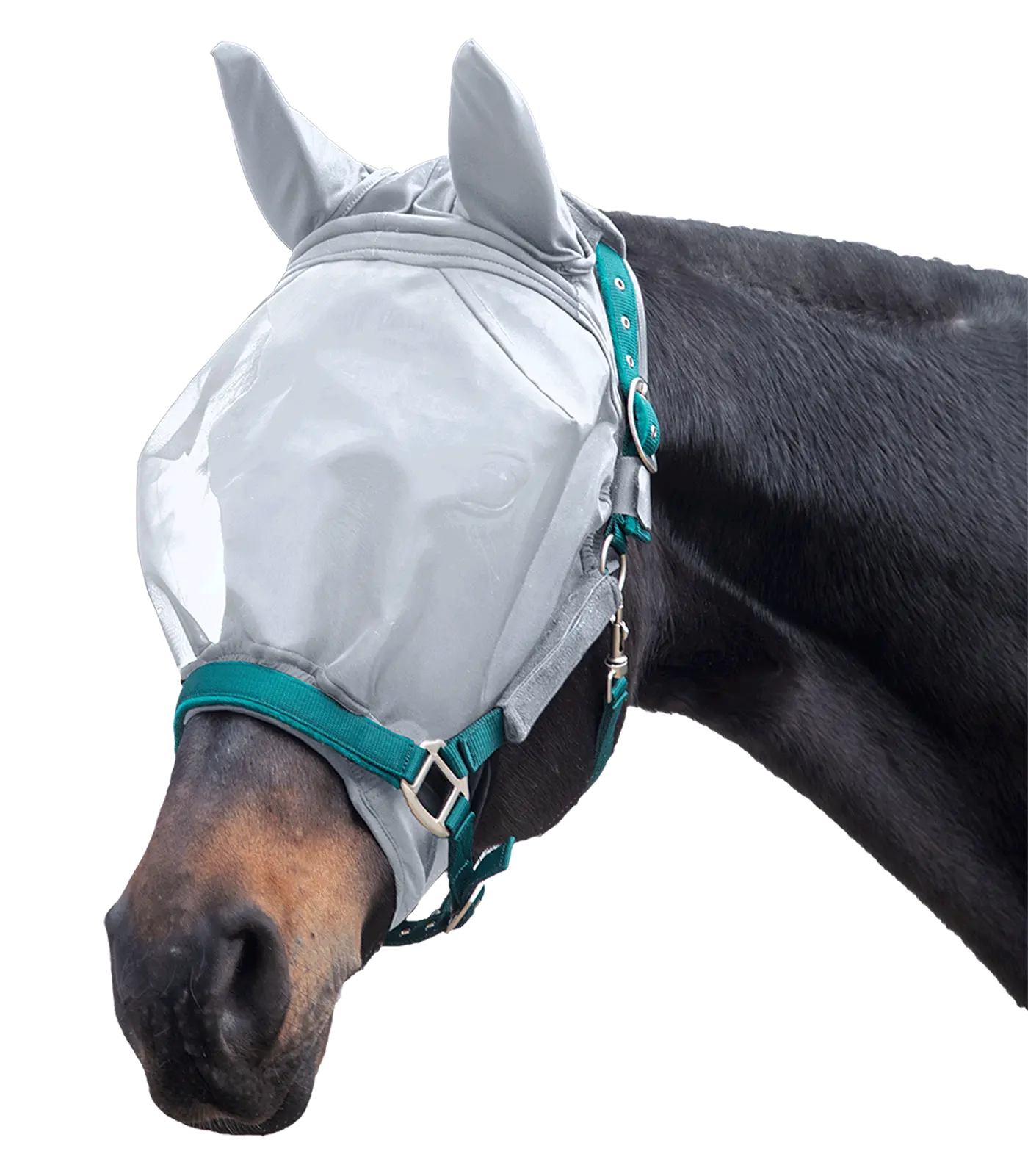 PREMIUM Fly Mask, with ear protection