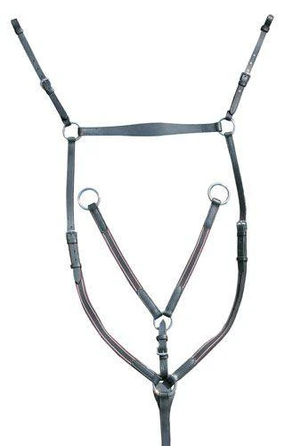 Breastplate/martingale silver fittings