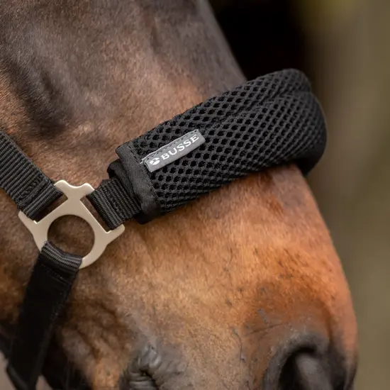 BUSSE Nose, Poll Cover 3D AIR EFFECT