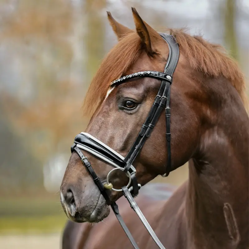 bridle LILIANA crank nb. with flash