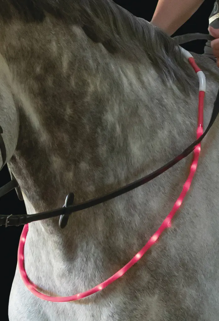 LED-Leuchthalsring für Pferde