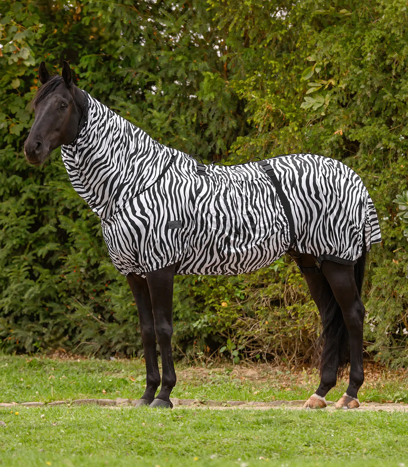 Ekzemerdecke ZEBRA Basic