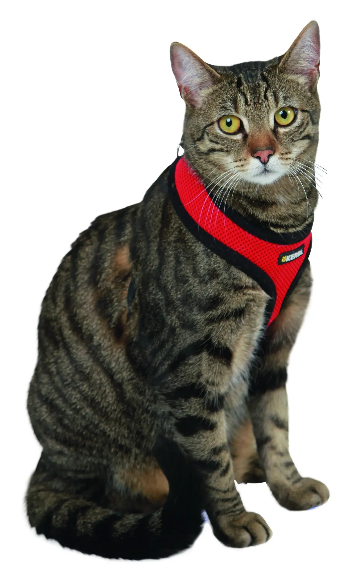 Cat Harness Activ
