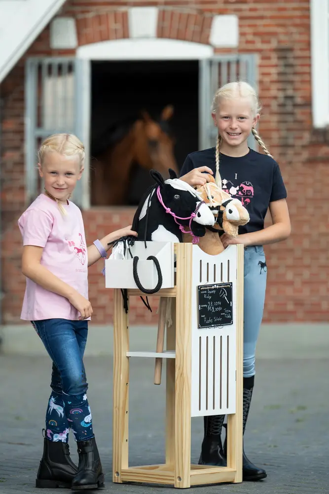 Stall -Hobby Horsing-