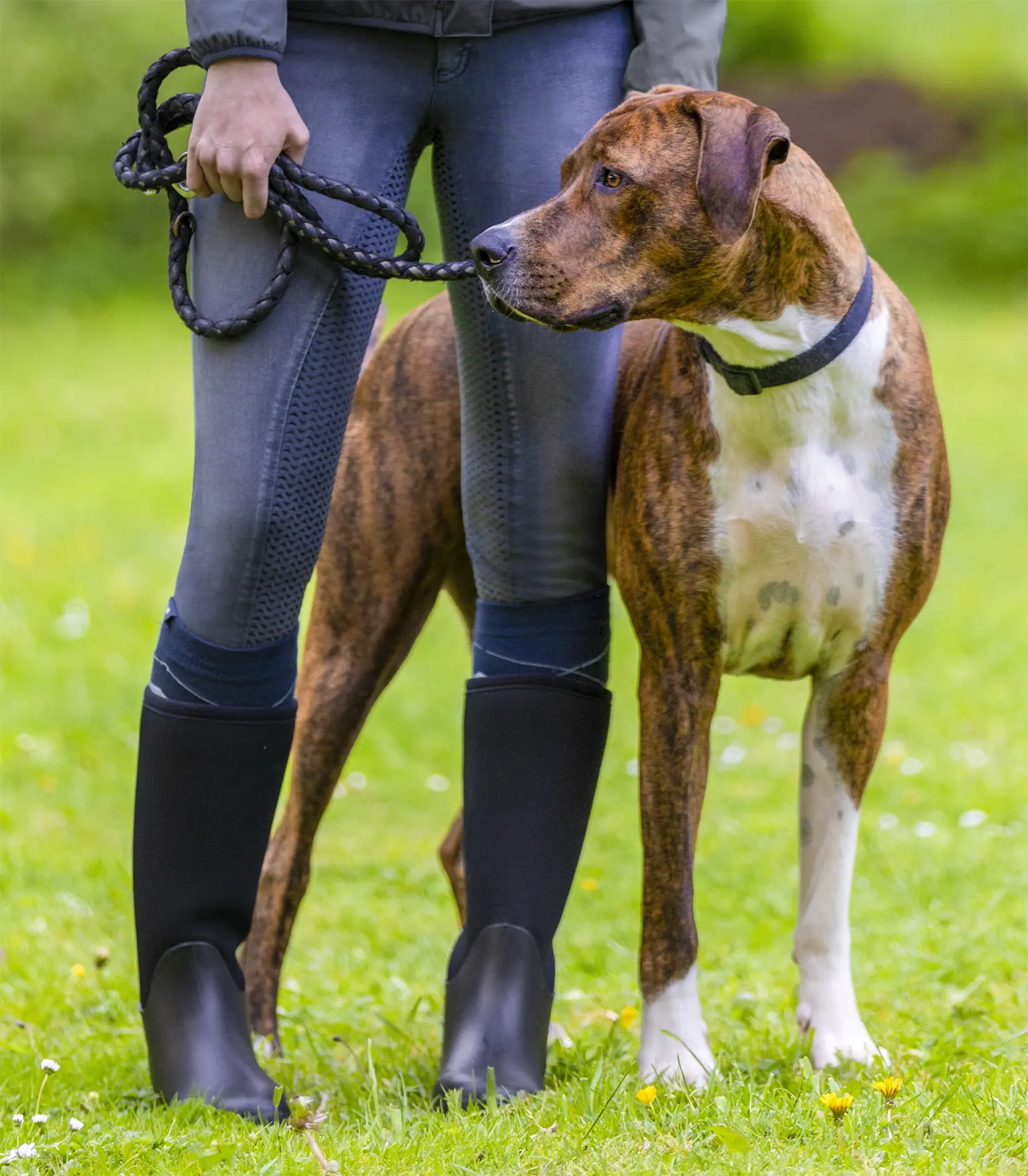 Allwetter-Stiefel Houston