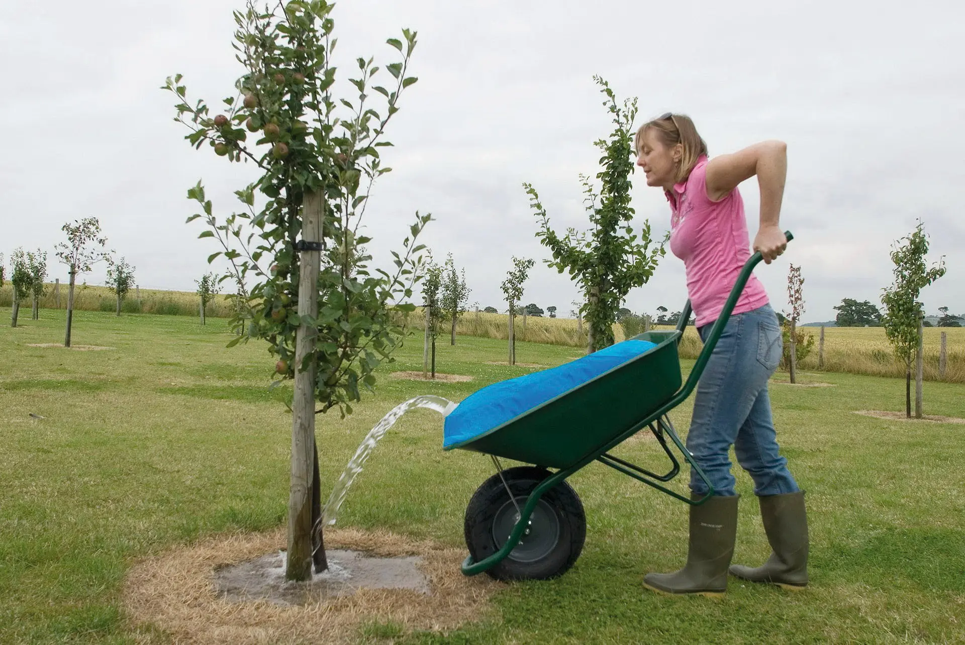 Water container H2GoBag 80 l, for wheelbarrow