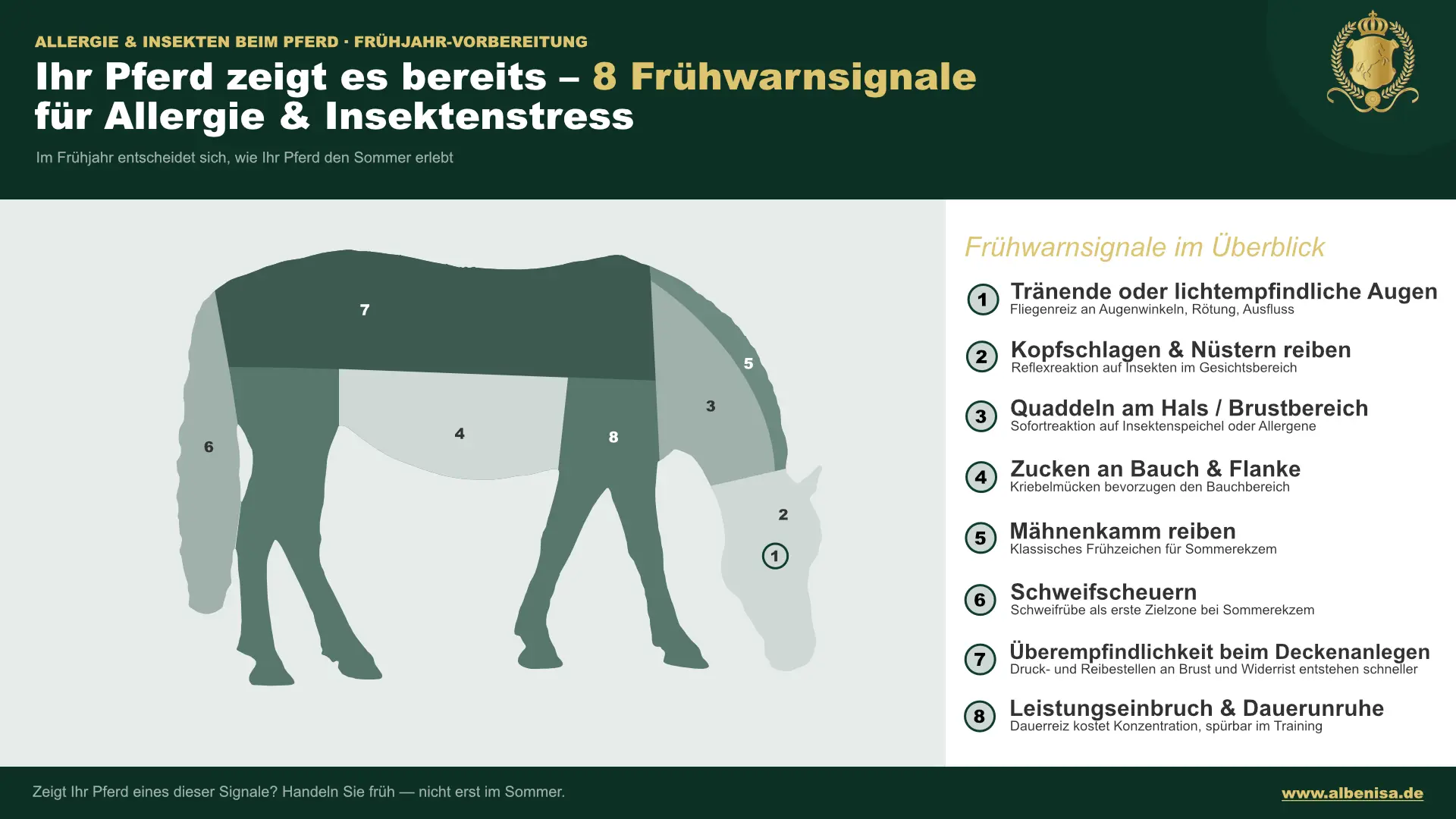 8 Frühwarnsignale für Allergie & Insektenstress beim Pferd – mit markierten Körperzonen und Symptomliste.