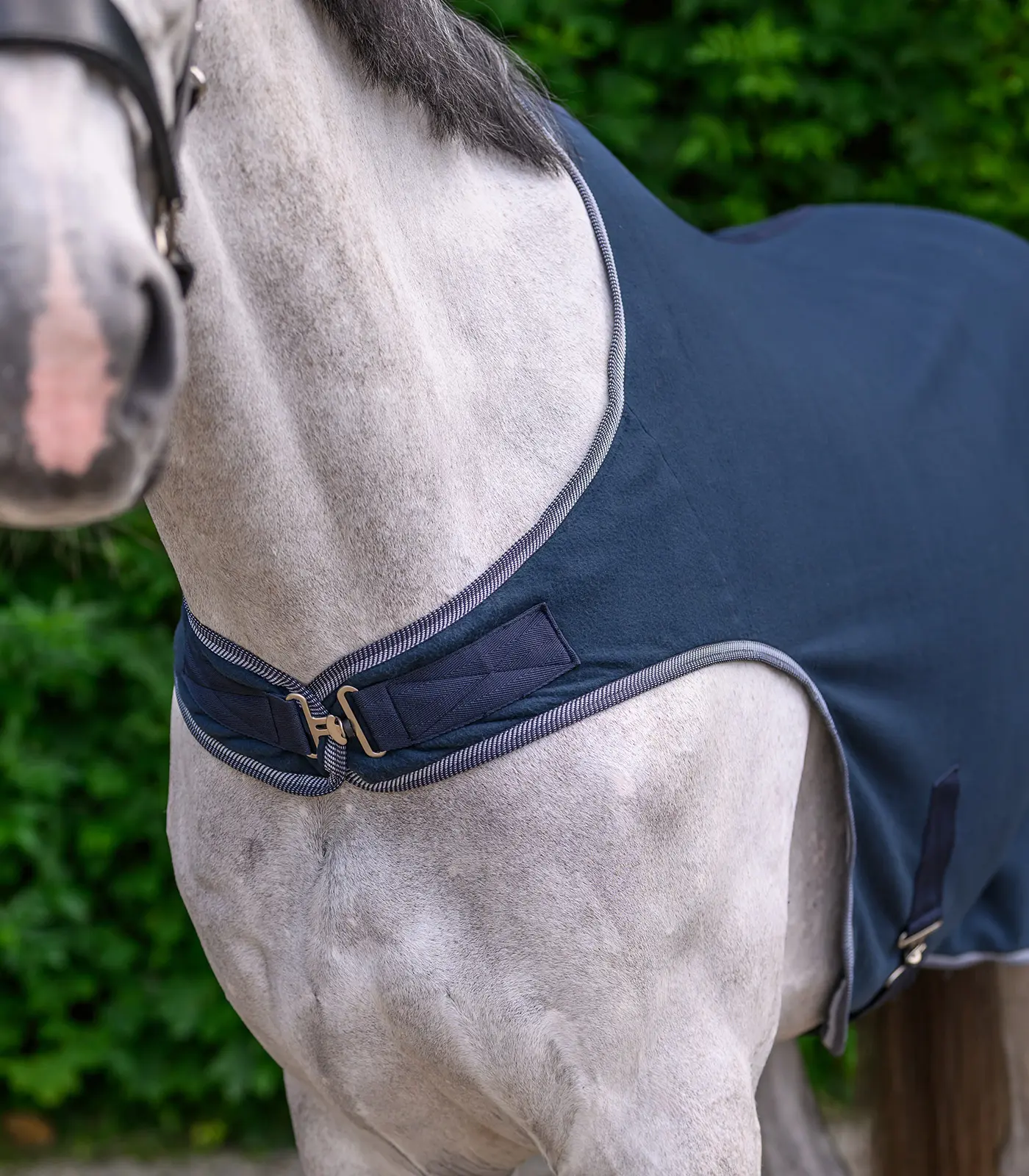 ECONOMIC fleece horse walker rug