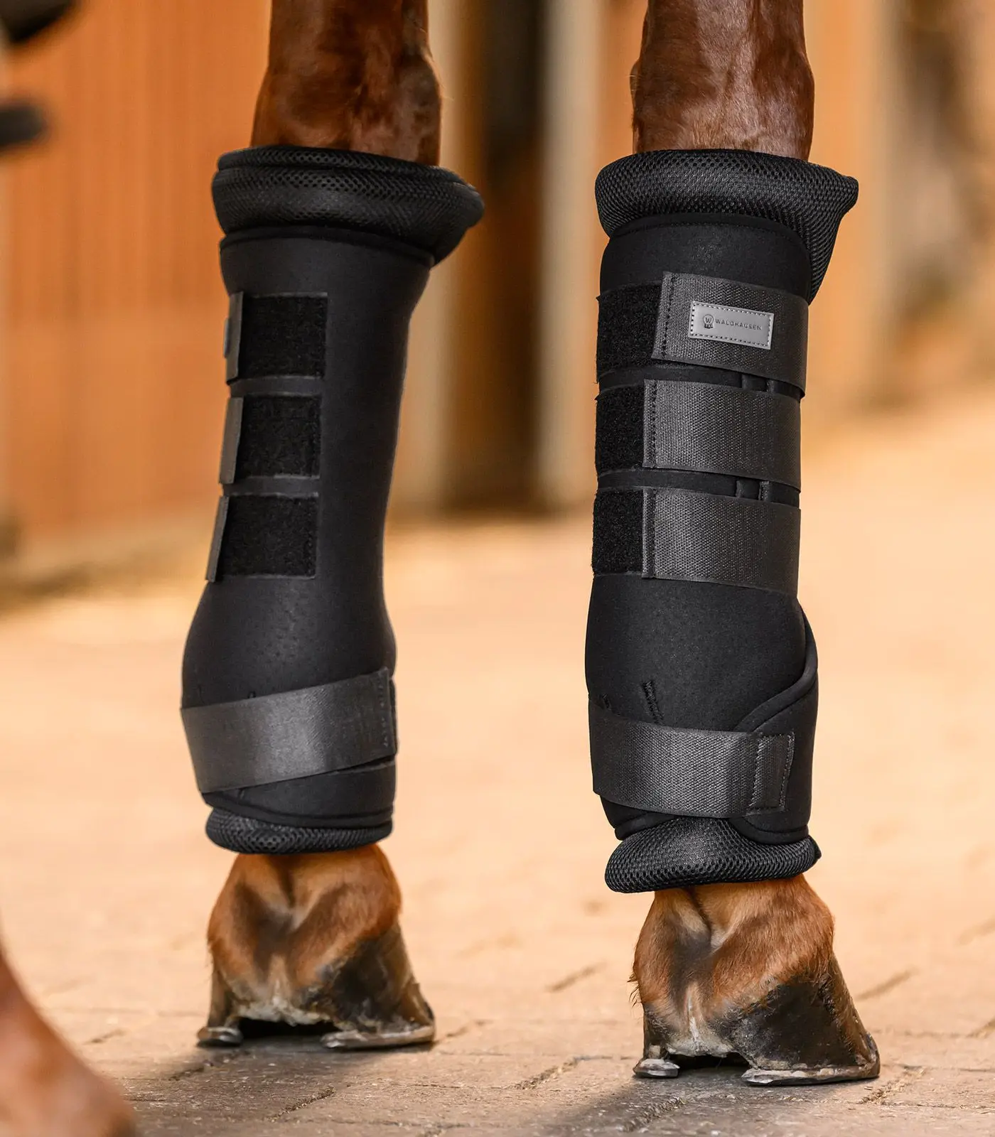BREATH stable boot