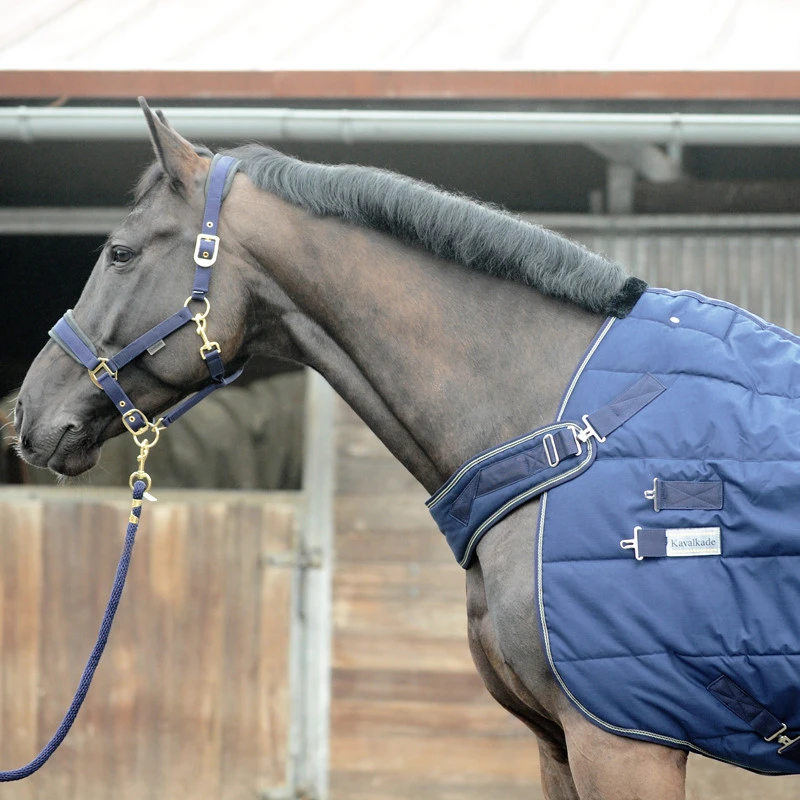 HALIFAX 2 in1 stable and walking machine rug 400 g