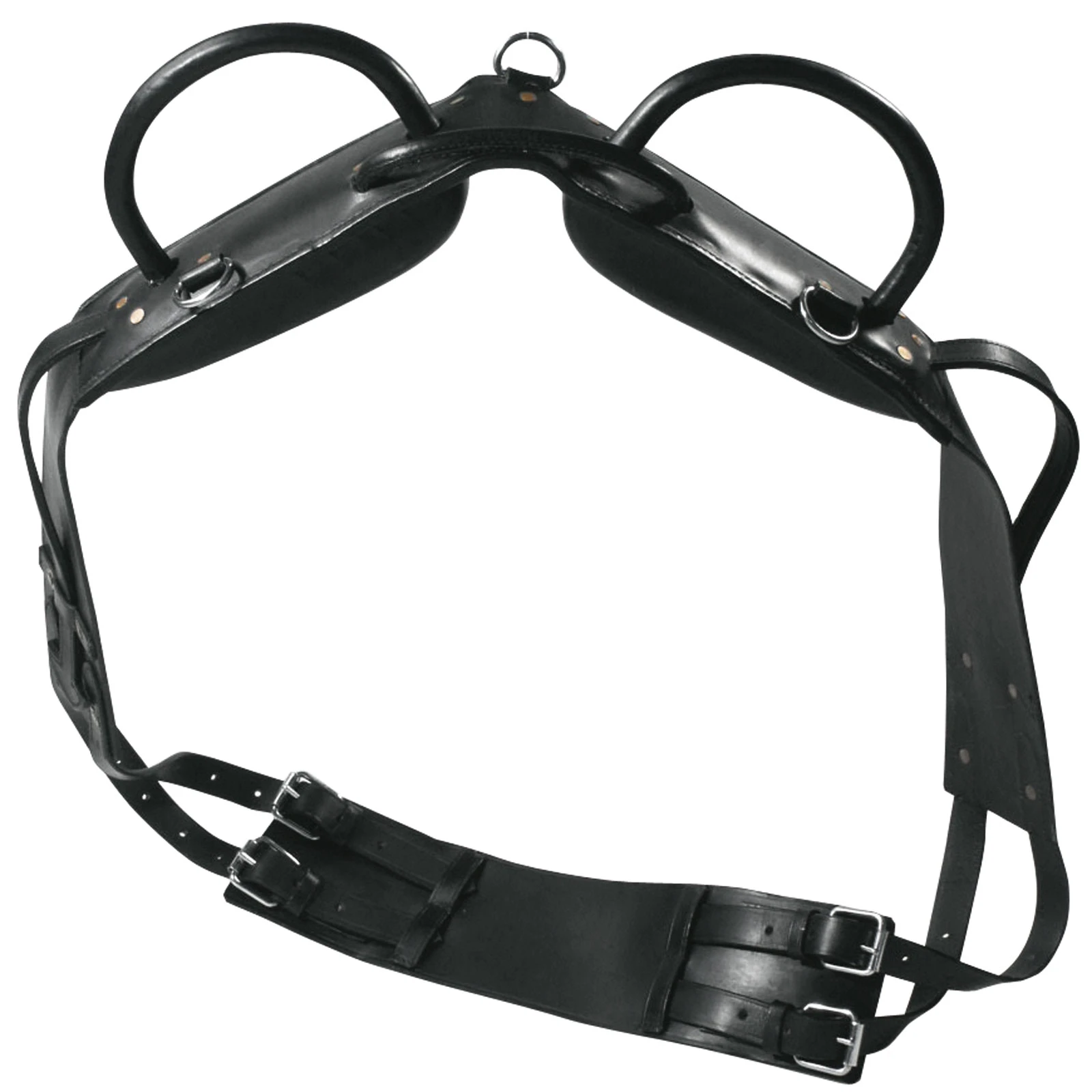 Vaulting & Lunging Surcingle