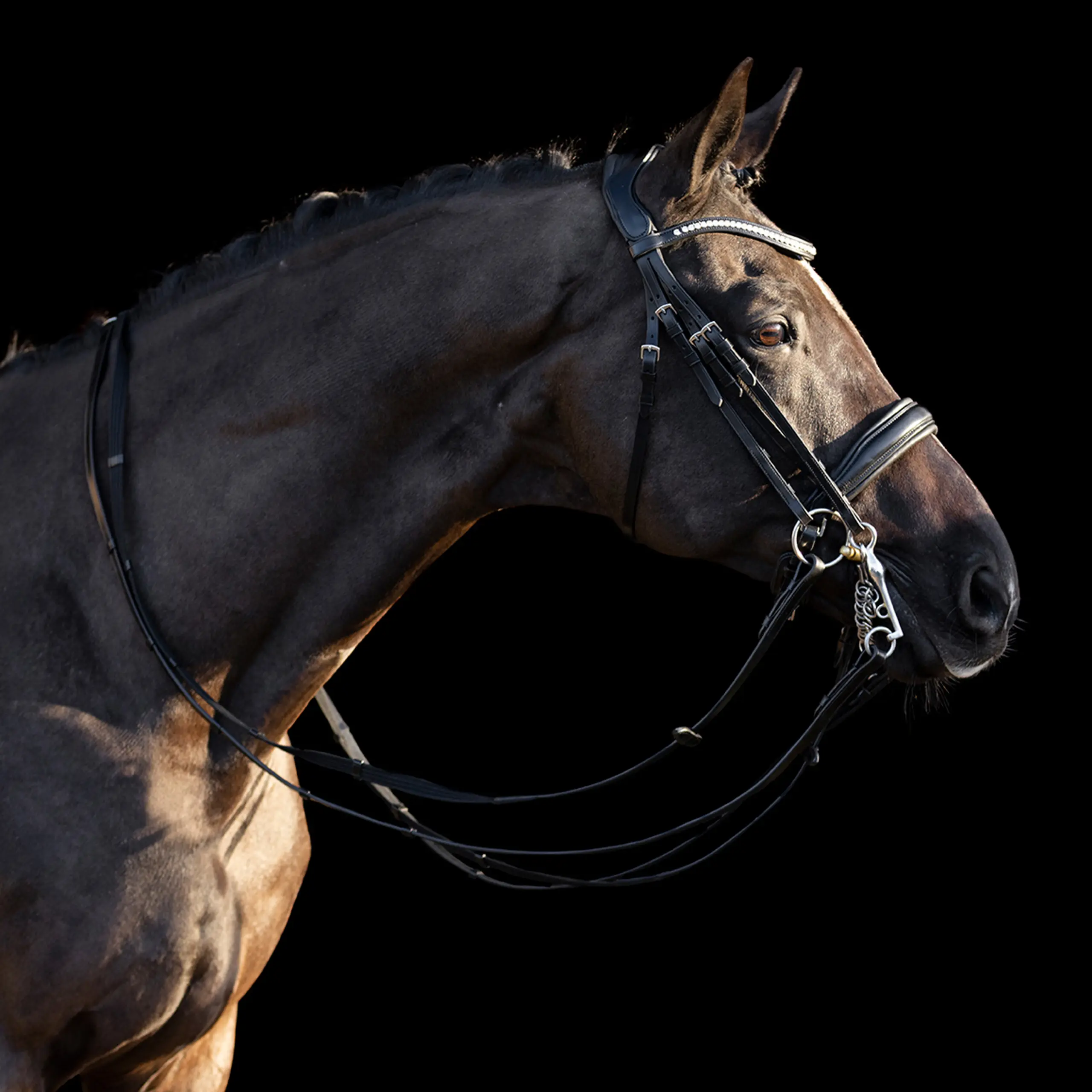 Weymouth bridle HVP-Legacy deluxe