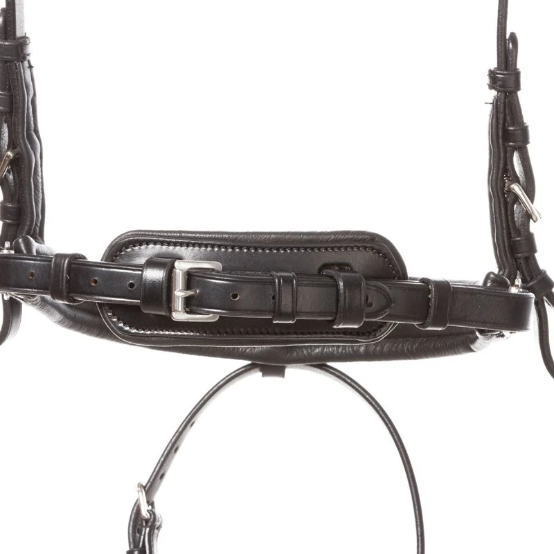 bridle AYANA crank nb. with flash